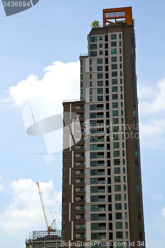 Image of  bangkok terrace  thailand  in office district plant   skyscrape