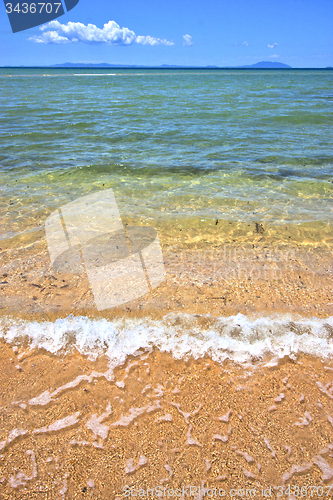 Image of paradise   seaweed  indian ocean nosy be   and foam