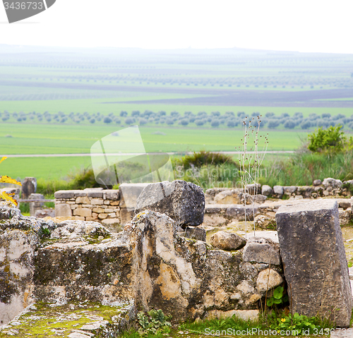 Image of volubilis in morocco africa the old roman deteriorated monument 