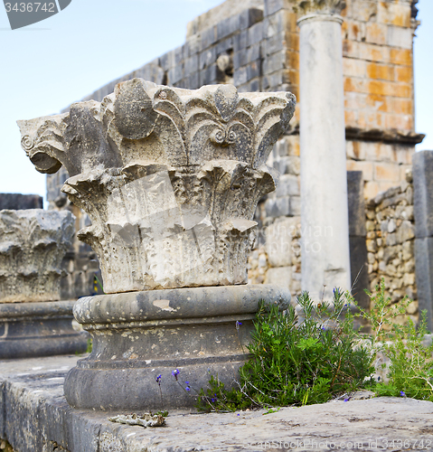 Image of volubilis in morocco africa the old roman deteriorated monument 