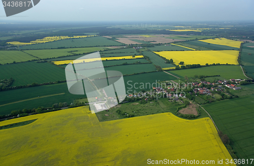 Image of Rape Field