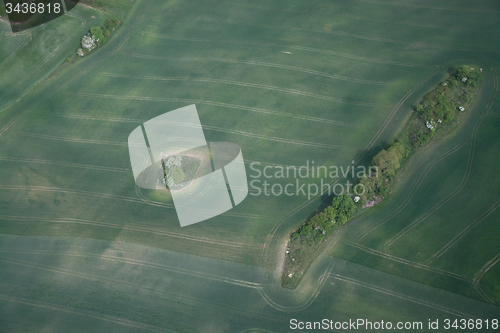 Image of Fields and Meadows, Brandenburg, Germany