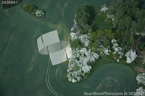 Image of Fields and Meadows, Brandenburg, Germany