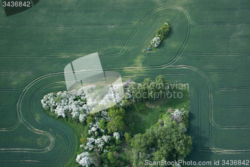 Image of Fields and Meadows, Brandenburg, Germany