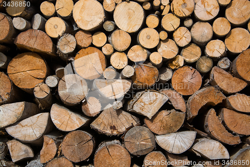 Image of Fuelwood