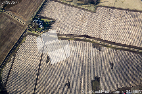 Image of Fields and Meadows