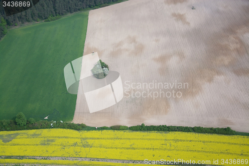 Image of Rape Field