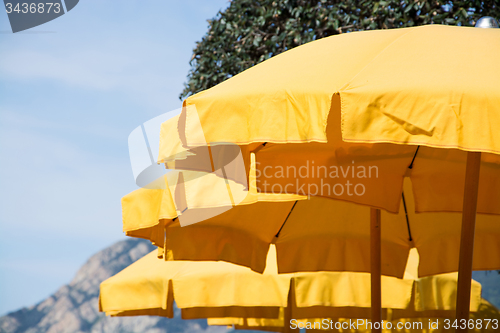 Image of Yellow Parasol