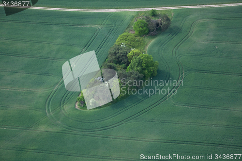 Image of Fields and Meadows, Brandenburg, Germany