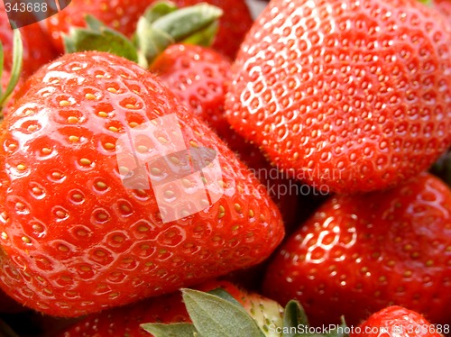Image of Strawberries
