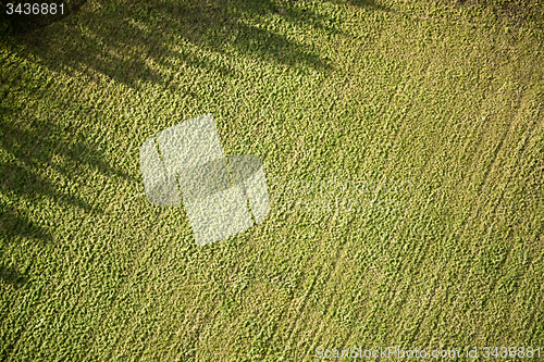 Image of Fields and Meadows