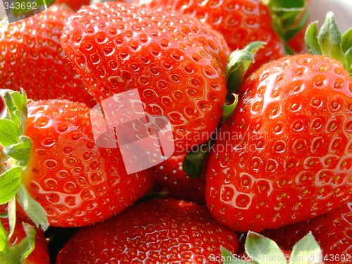 Image of Strawberries