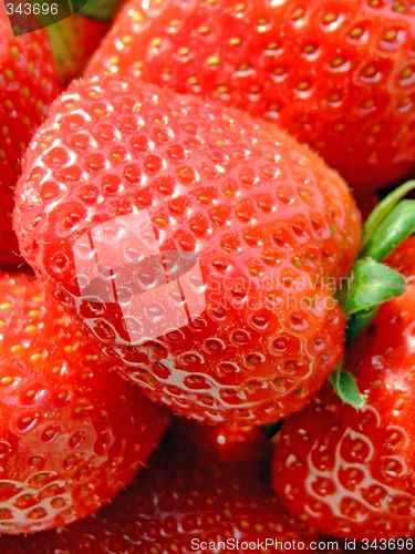 Image of Strawberries