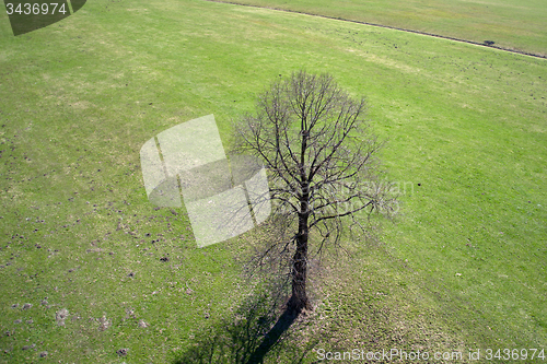 Image of Field and Meadows