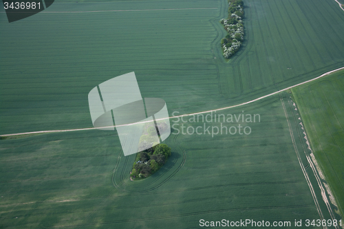 Image of Fields and Meadows, Brandenburg, Germany