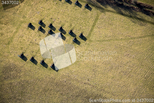 Image of Fields and Meadows