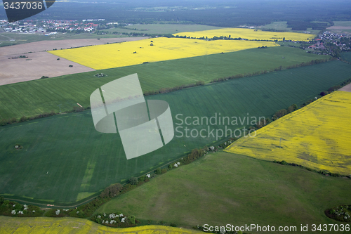 Image of Rape Field