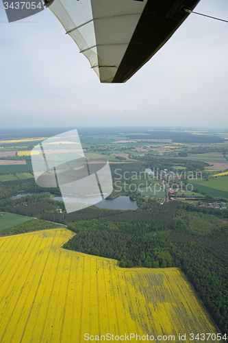 Image of Rape Field