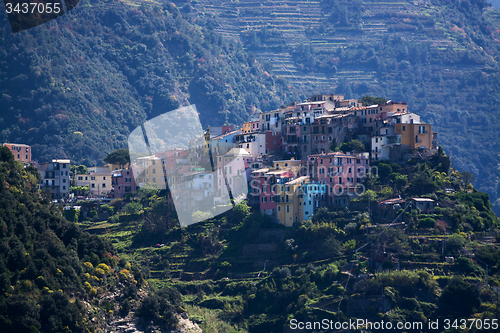 Image of Corniglia, Cinque Terre, Italy