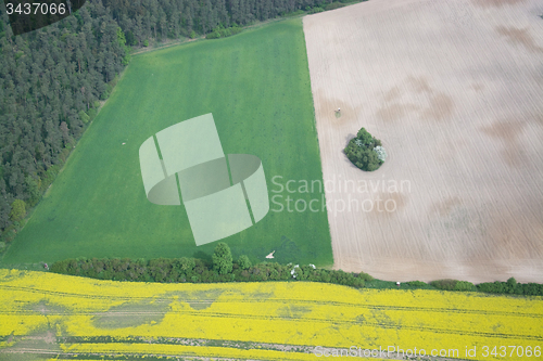 Image of Rape Field