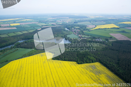 Image of Rape Field