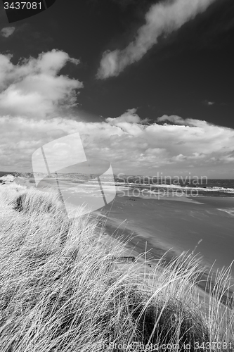 Image of East Coast Scotland, UK