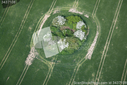 Image of Fields and Meadows, Brandenburg, Germany