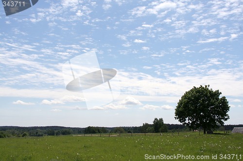 Image of Landscape