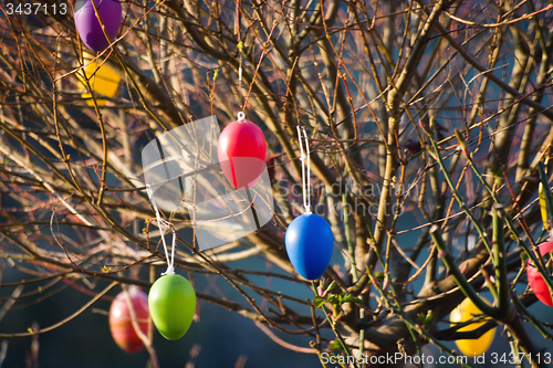 Image of Easter