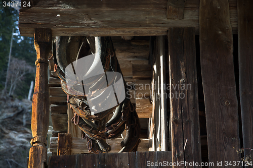 Image of Horse Harness