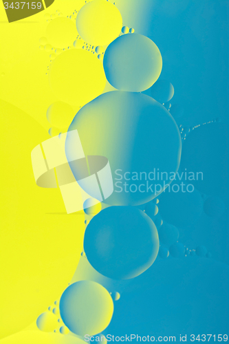 Image of Oil and Water
