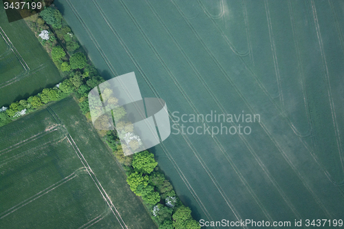 Image of Fields and Meadows, Brandenburg, Germany
