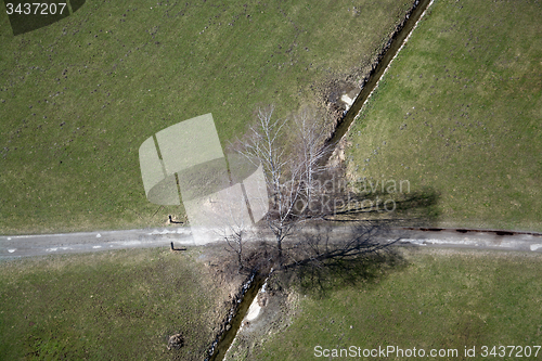 Image of Field and Meadows