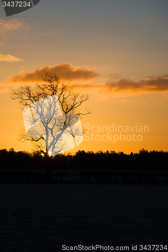 Image of Sunrise