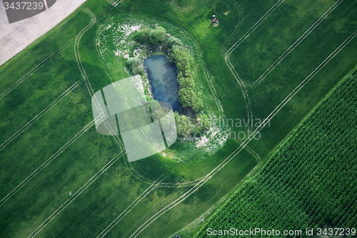 Image of Fields and Meadows, Brandenburg, Germany