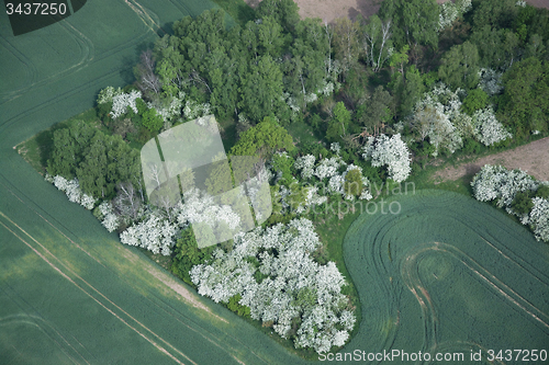 Image of Fields and Meadows, Brandenburg, Germany