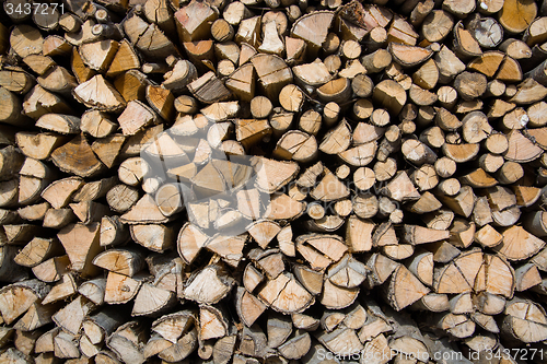 Image of Fuelwood