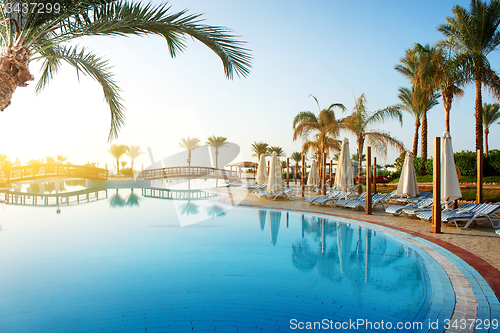 Image of Pool and palms