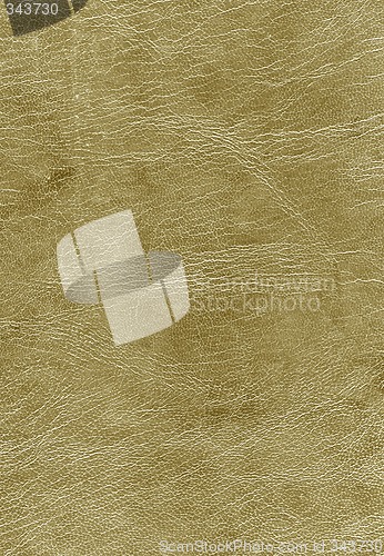 Image of Leather