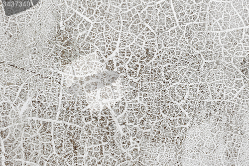 Image of Grungy White Concrete Wall Background