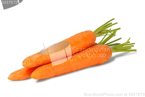 Image of Three fresh carrots