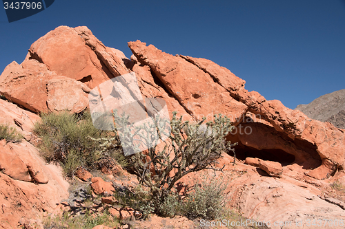 Image of Whitney Pocket, Nevada, USA