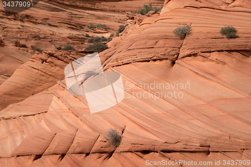 Image of Coyote Buttes South, Utah, USA