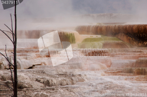 Image of Yellowstone National Park, USA