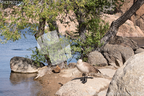 Image of Watson Lake Park, Arizona, USA