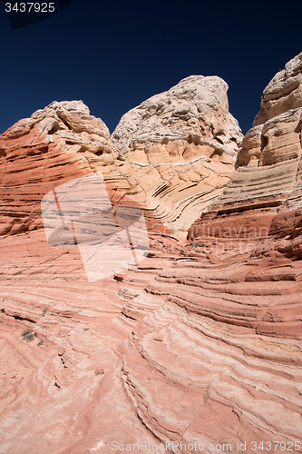 Image of White Pocket Canyon, Arizona, USA