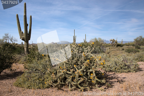 Image of Lost Dutchman State Park, Arizona, USA