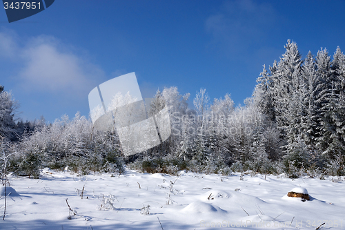 Image of Ica Age in Muehlberg, Bavaria, Germany