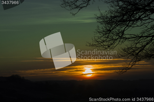 Image of Morning Fog