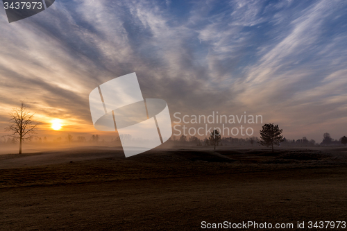Image of Morning Fog